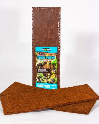 Tree Fern Panels - Small