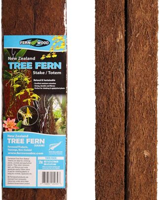 Fernwood Tree Fern Totem
