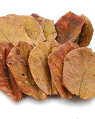 Catappa Leaves