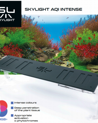 SkyLight AQI Intense