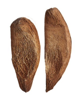 Coconut Husk Slice