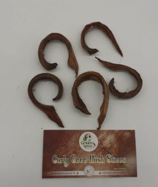 Curly Coco Husk Slices