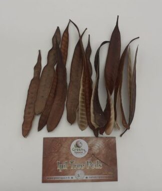 Ipil Tree Pods