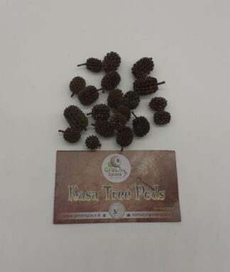 Kasa Tree Pods