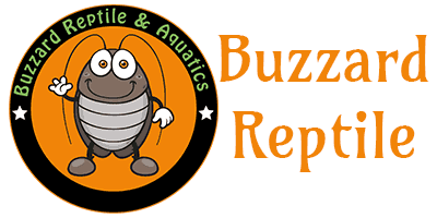 Buzzard Wholesale