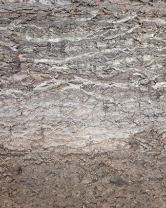 Cork Bark Background Panel