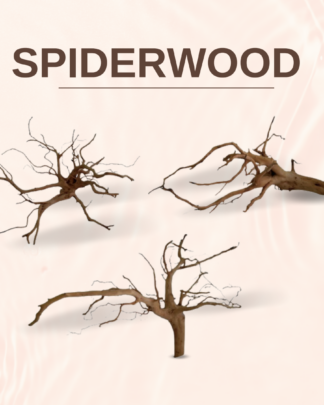 Spiderwood (Redmoor Wood)