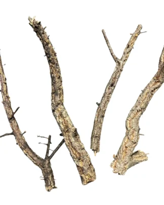 Cork Branches