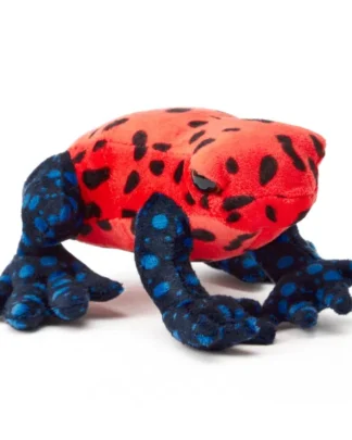 Strawberry Poison Dart Frog - Small