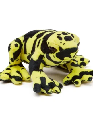 Yellow Banded Poison Dart Frog - Small